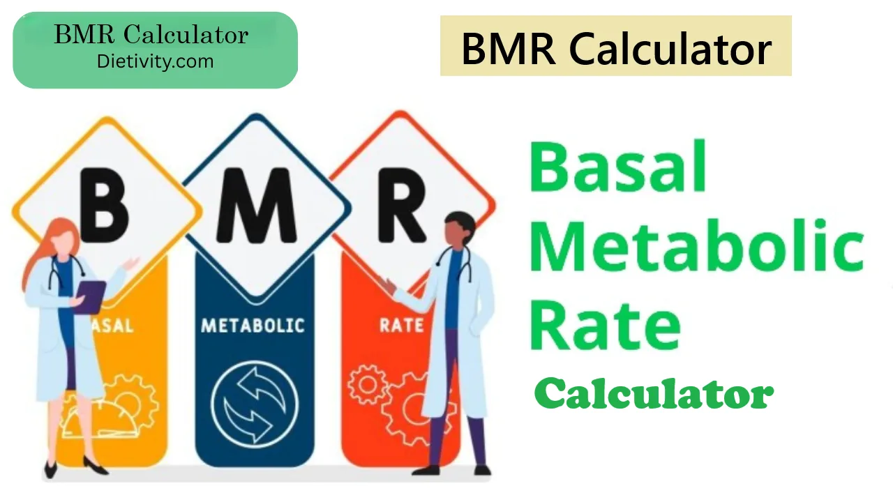 BMR Calculator