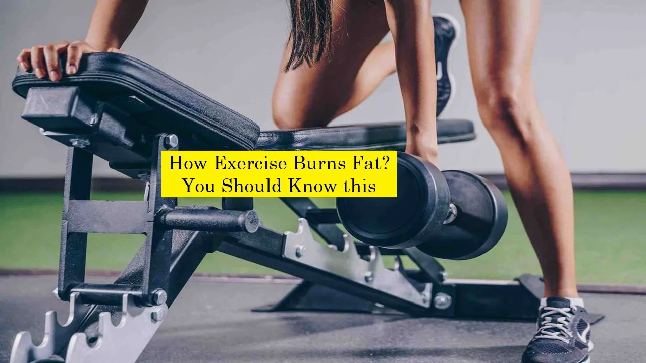Exercise Burns Fat