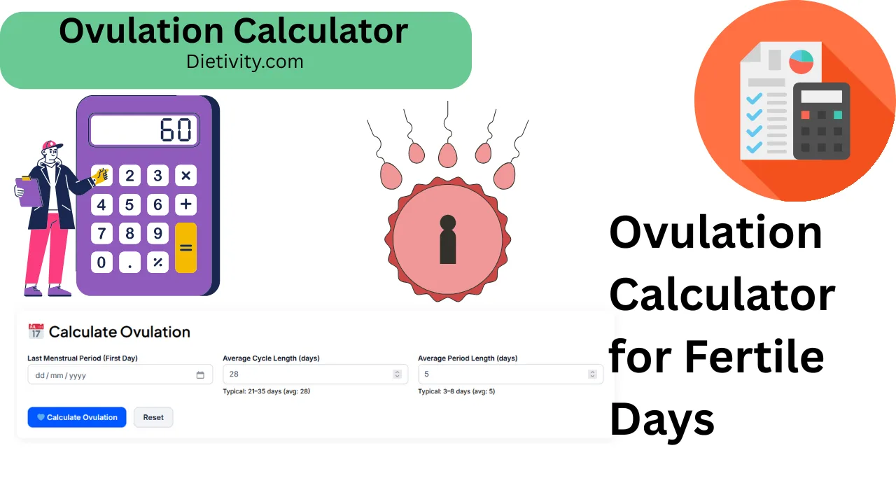 Ovulation Calculator