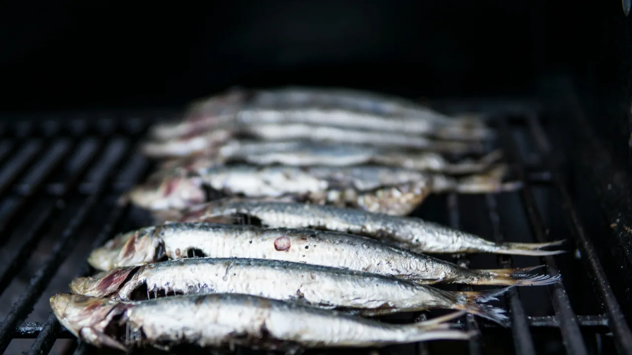 sardines recipes